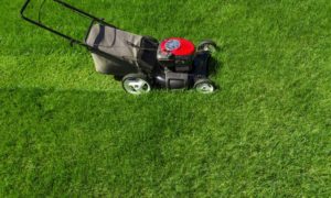 5 odporúčaní, ako sa starať o trávnik na jar