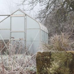 Pozor na ťažký sneh! Ako zabezpečiť skleník v zime?