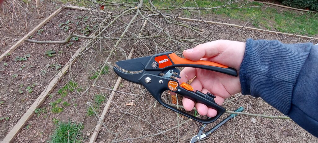 Ako si vybrať správne záhradné nožnice