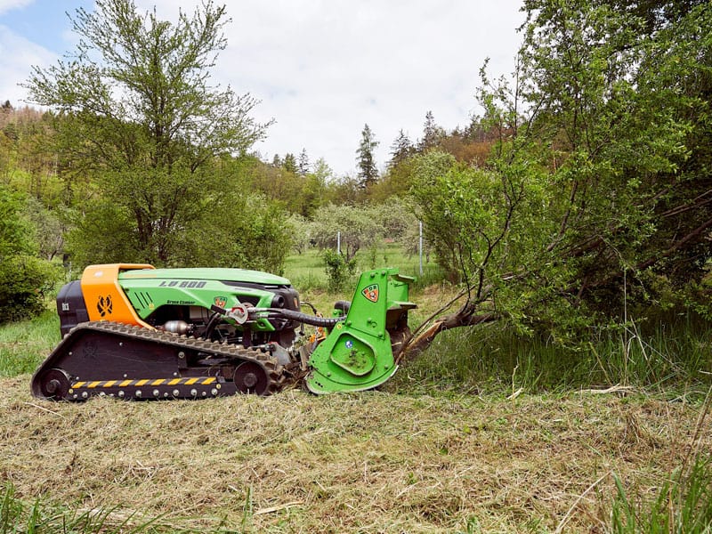 výrub drevím Green climber