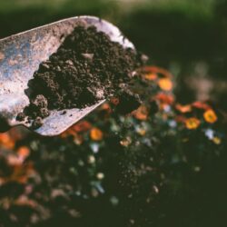 Chystáte sa založiť kompost? Vyvarujte sa najčastejších chýb