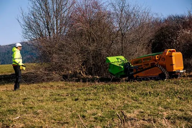 Odstraňovanie náletových drevín pomocou GreenClimberu